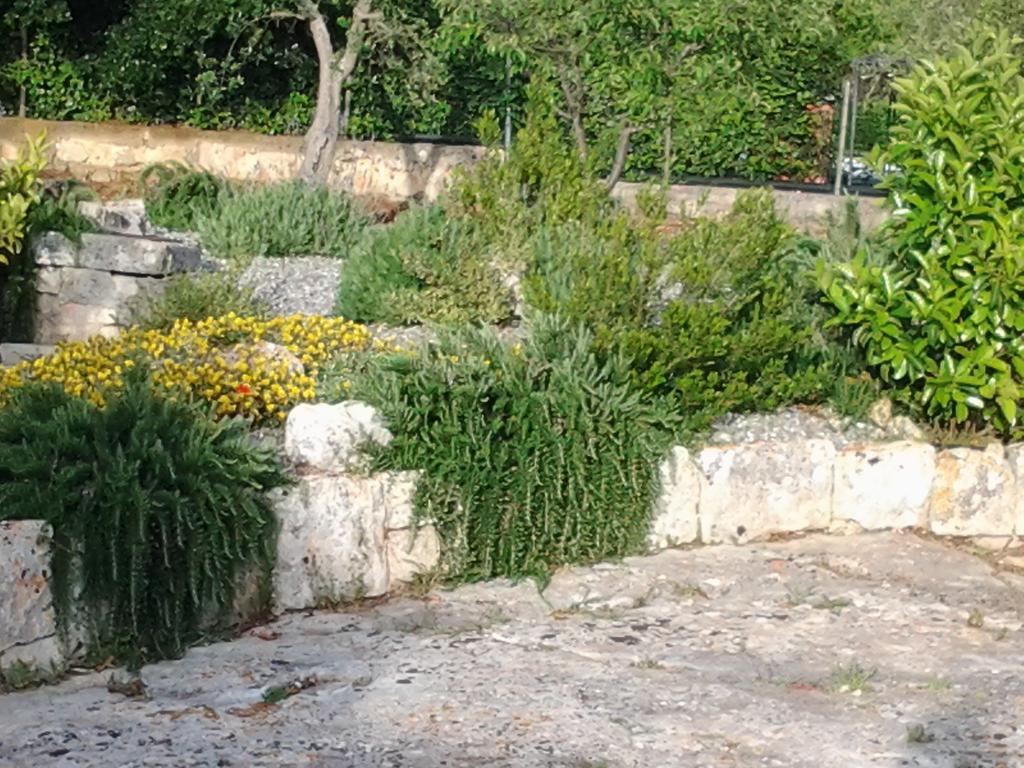 B&B Tenuta Ranieri Selva Di Fasano Exterior foto
